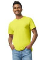 Gildan T-shirt Heavy Cotton SS for him